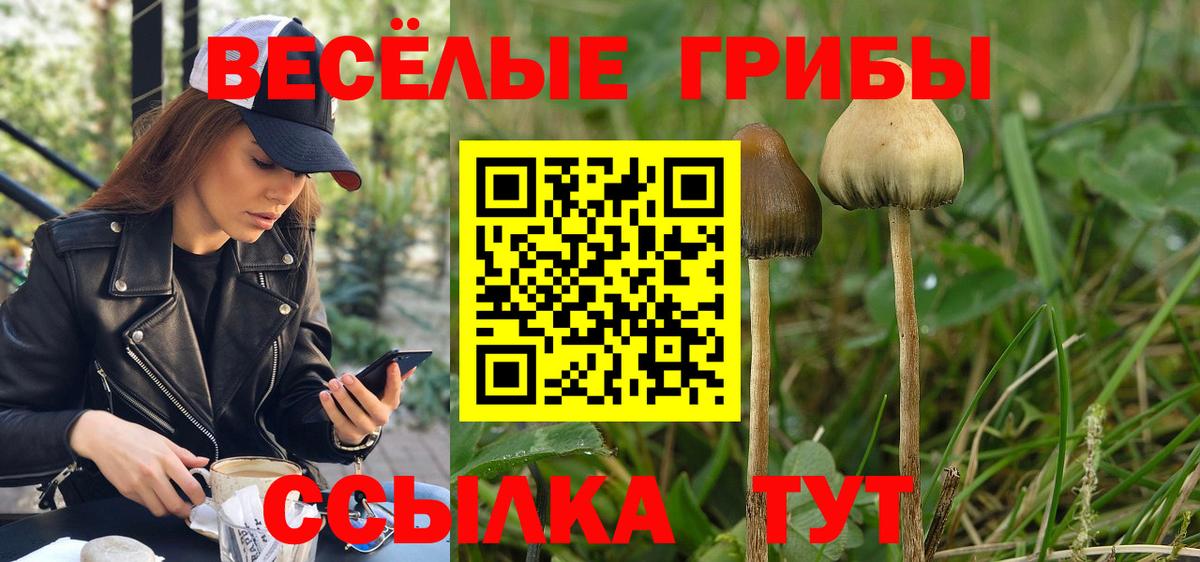 где купить наркоту  Псилоцибиновые грибы Magic Shrooms  Вход с VPN  Лянтор 